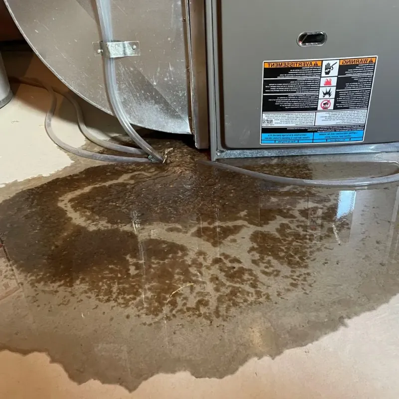 Pipe Burst and Leak Restoration in Campanilla, PR